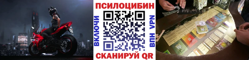 сколько стоит  Ленск  Псилоцибиновые грибы GOLDEN TEACHER 