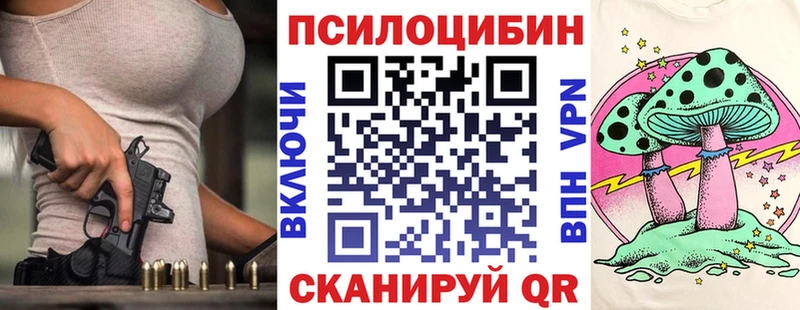 Галлюциногенные грибы Psilocybine cubensis Ленск